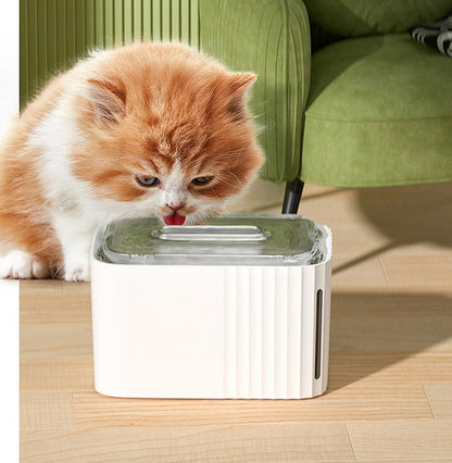 Avocado Green Pet Drinking Machine Smart Mute