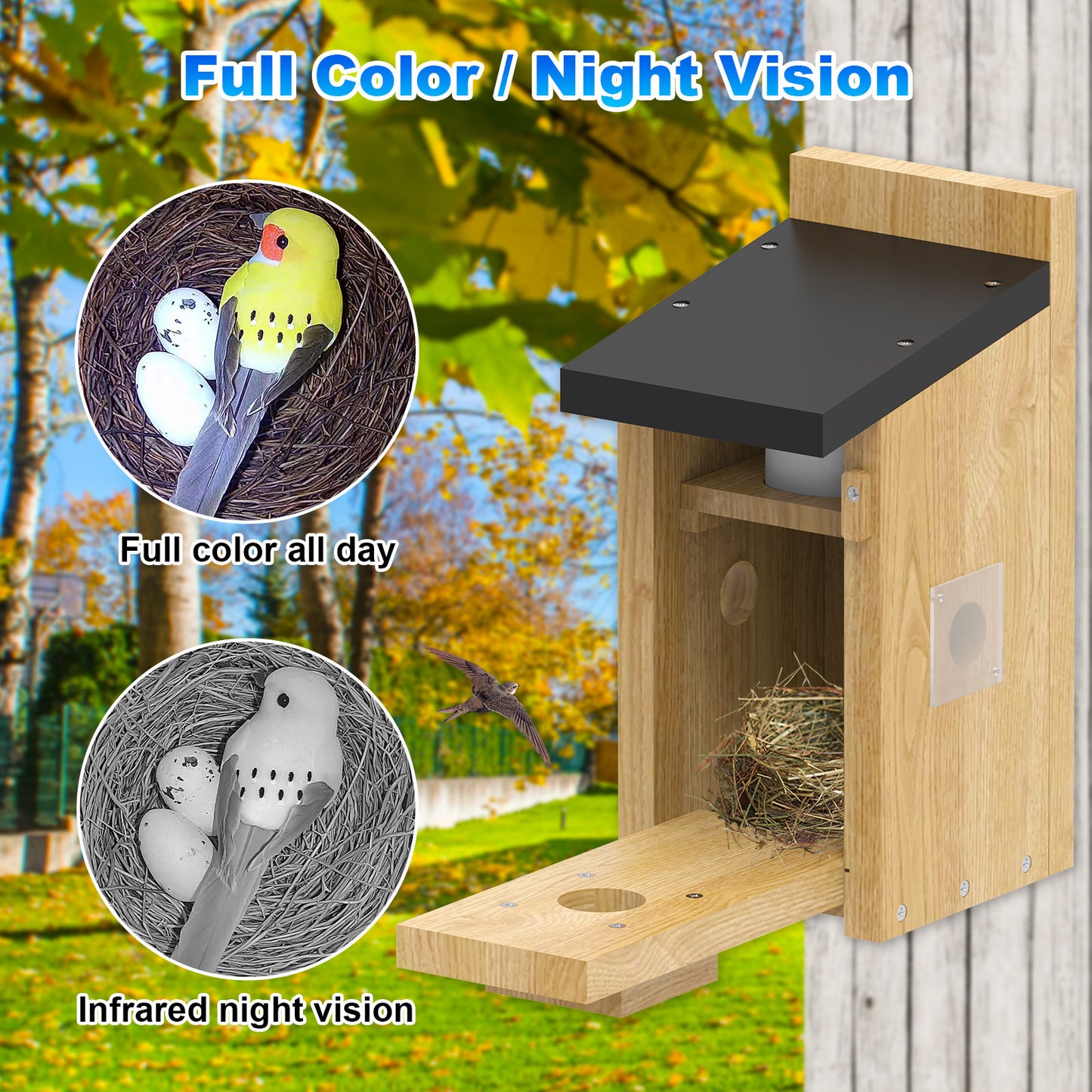 Outdoor Simple Solar-Powered Smart Visual Birdhouse