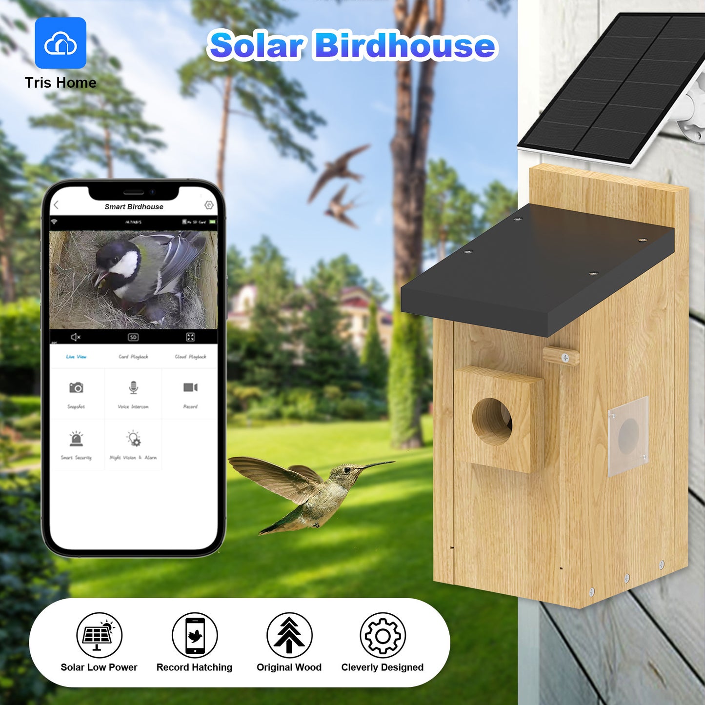 Outdoor Simple Solar-Powered Smart Visual Birdhouse