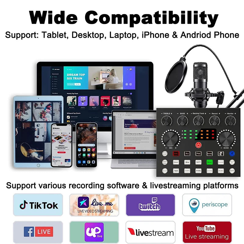 BM800 Studio Microphone Kit