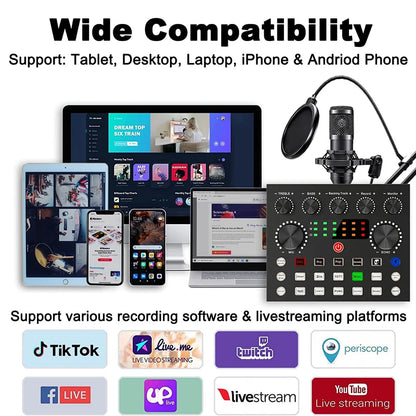 BM800 Studio Microphone Kit