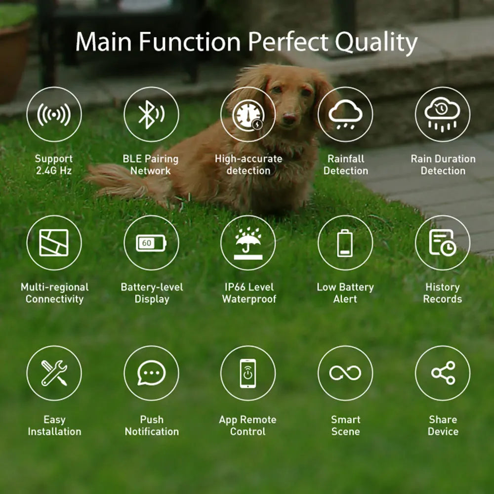 WiFi smart rain sensor