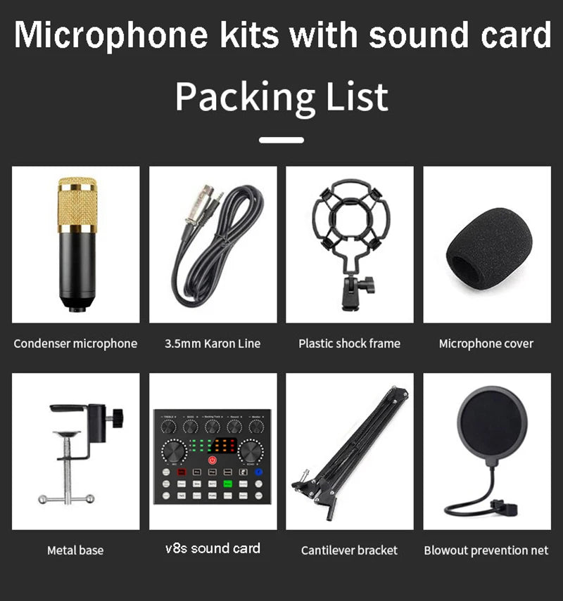 BM800 Studio Microphone Kit