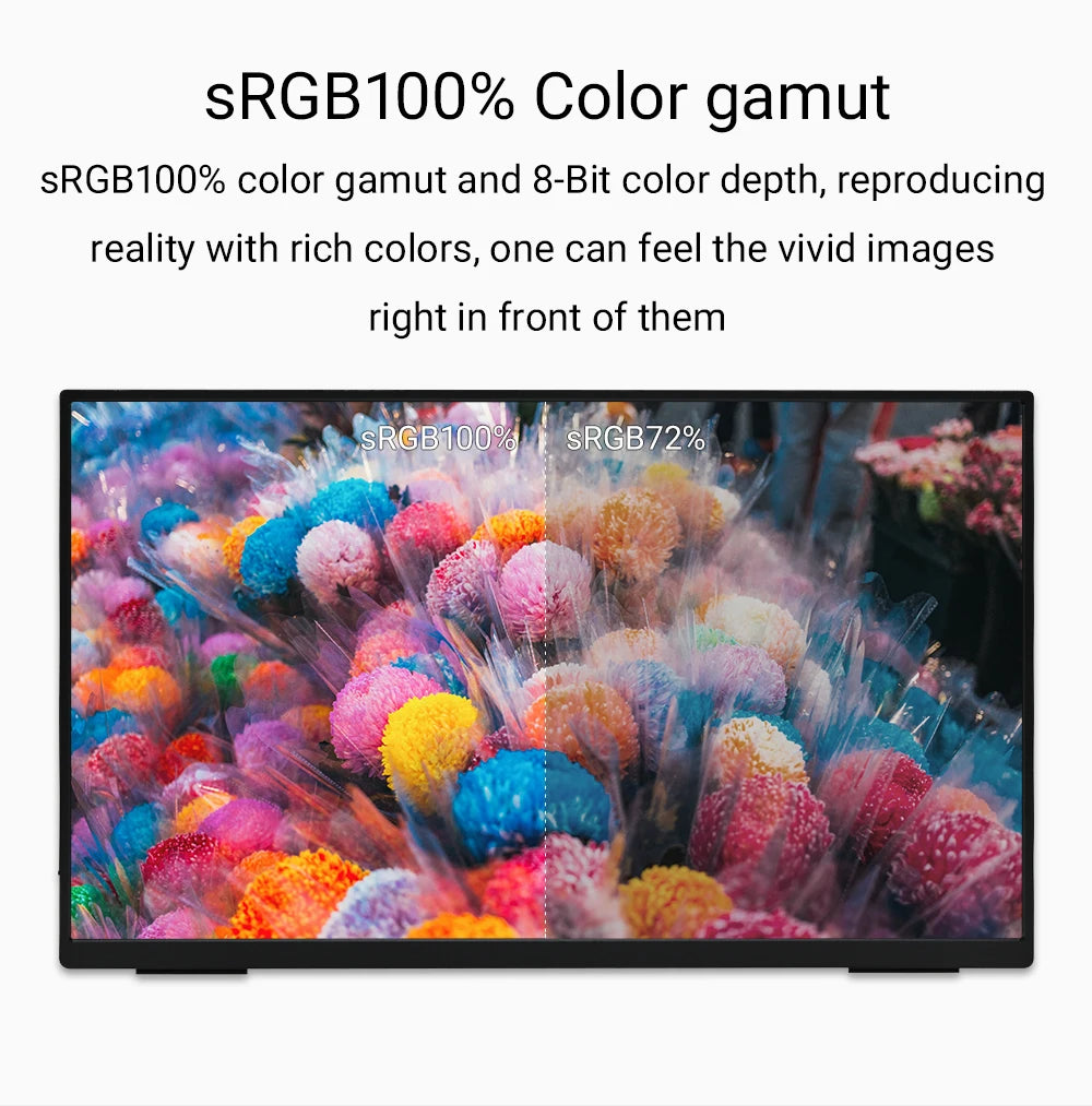 Portable 1080p HDR monitor