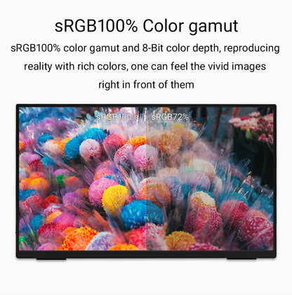 Portable 1080p HDR monitor