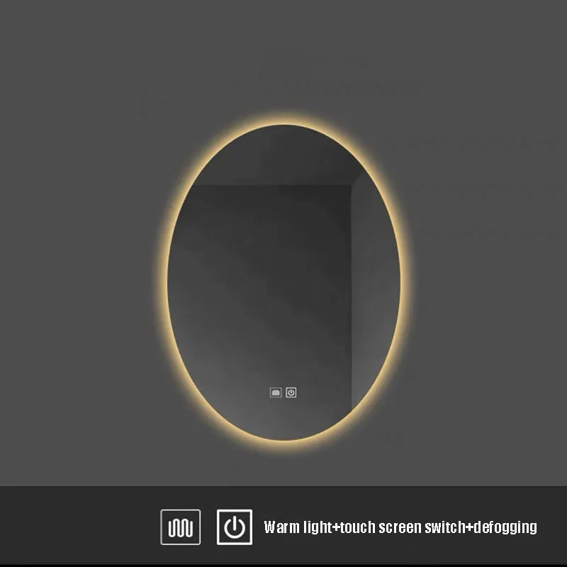 oval LED bathroom mirror