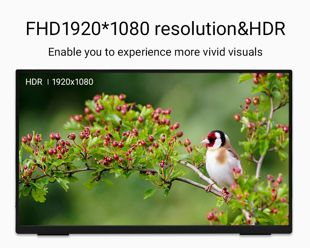 Portable 1080p HDR monitor