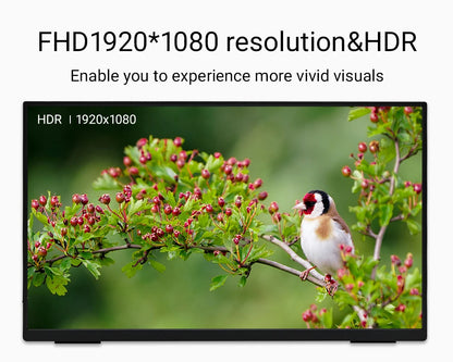 Portable 1080p HDR monitor