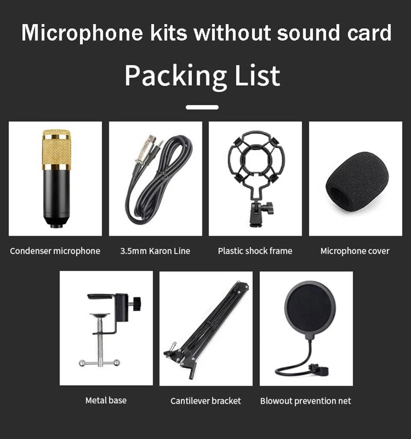 BM800 Studio Microphone Kit
