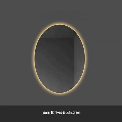 oval LED bathroom mirror