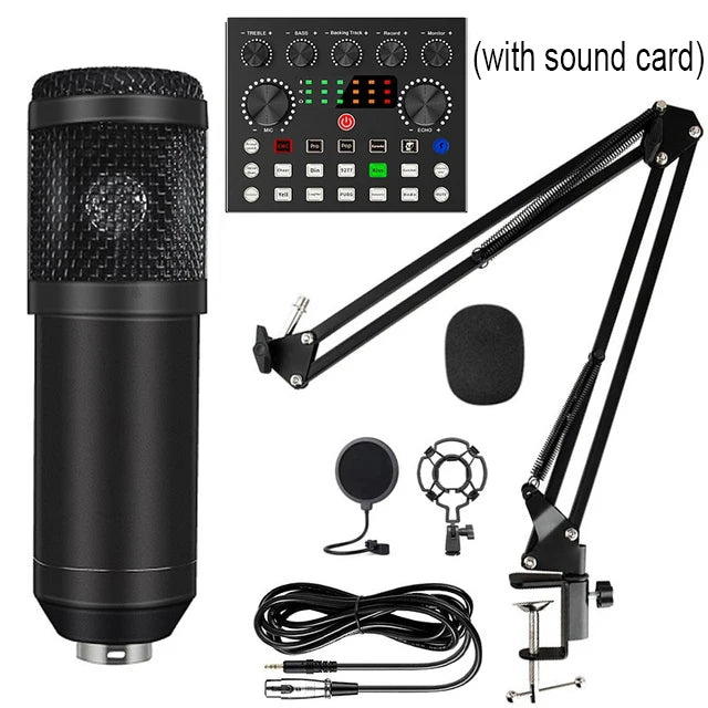 BM800 Studio Microphone Kit