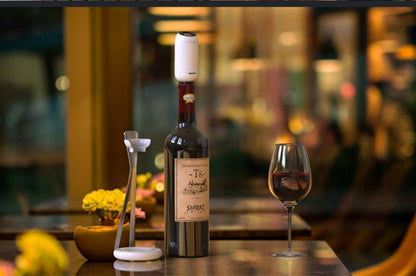 New Fast Smart Electric Electronic Decanter Wine Gift